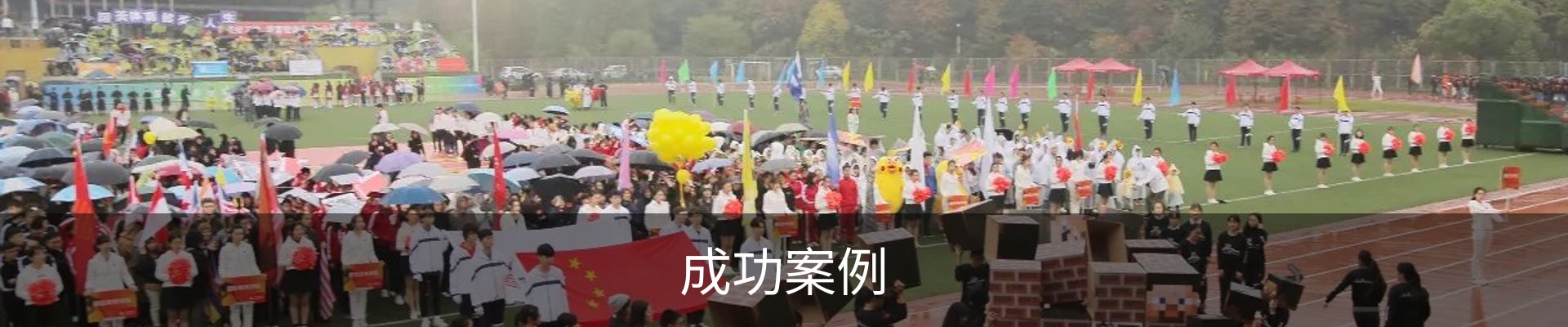 成功案例